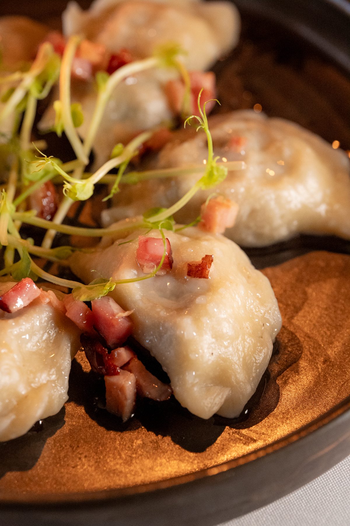 Pierogi kuchnia regionalna Merkury Kudowa-Zdrój